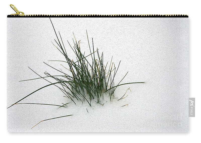 Plants Zip Pouch featuring the photograph Painted Oasis by Skip Willits