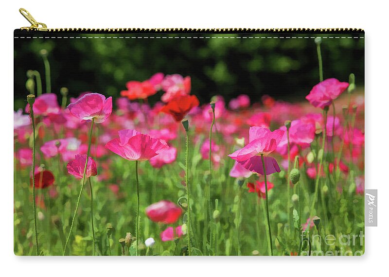 Flowers Zip Pouch featuring the digital art Painterly Poppies in Pink by Lisa Lemmons-Powers