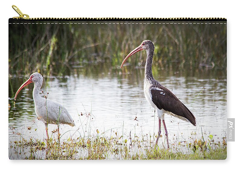 Ibis Zip Pouch featuring the photograph Pair of White Ibis by Bob Decker