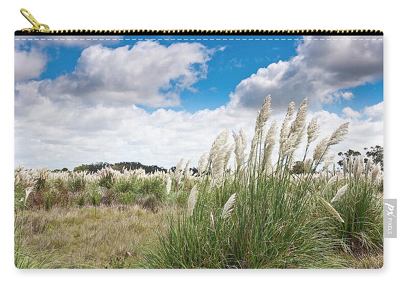 Wind Zip Pouch featuring the photograph Pampas Grass by Normazaro