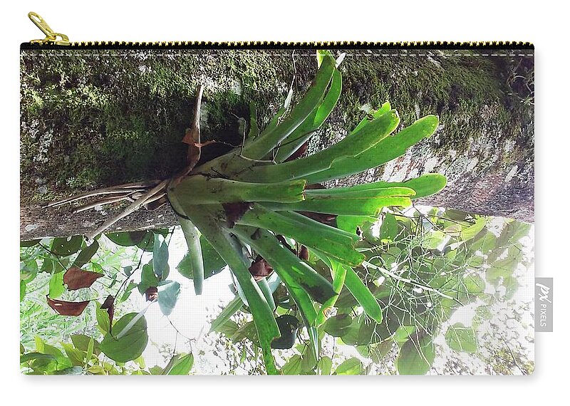 Parasite Weed Zip Pouch featuring the photograph Parasite Plant by Nestor Cardona Cardona