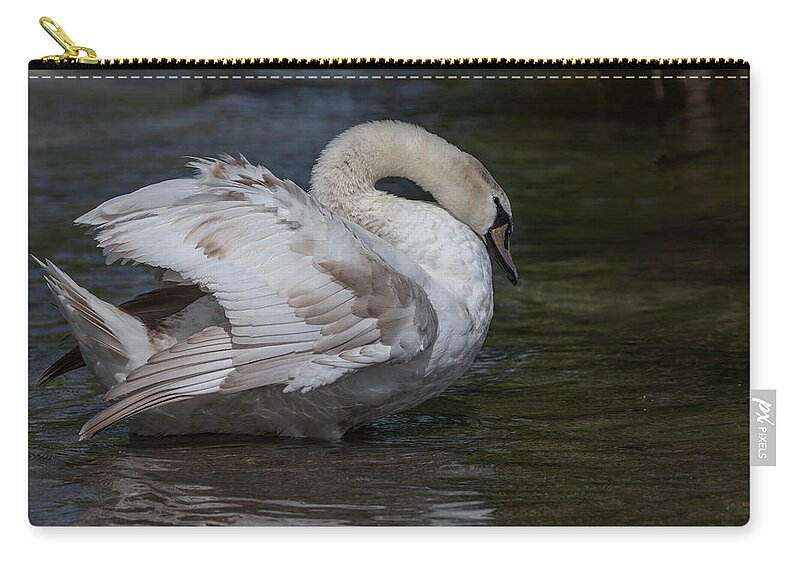 Photography Zip Pouch featuring the photograph Patchy Swan by Alma Danison