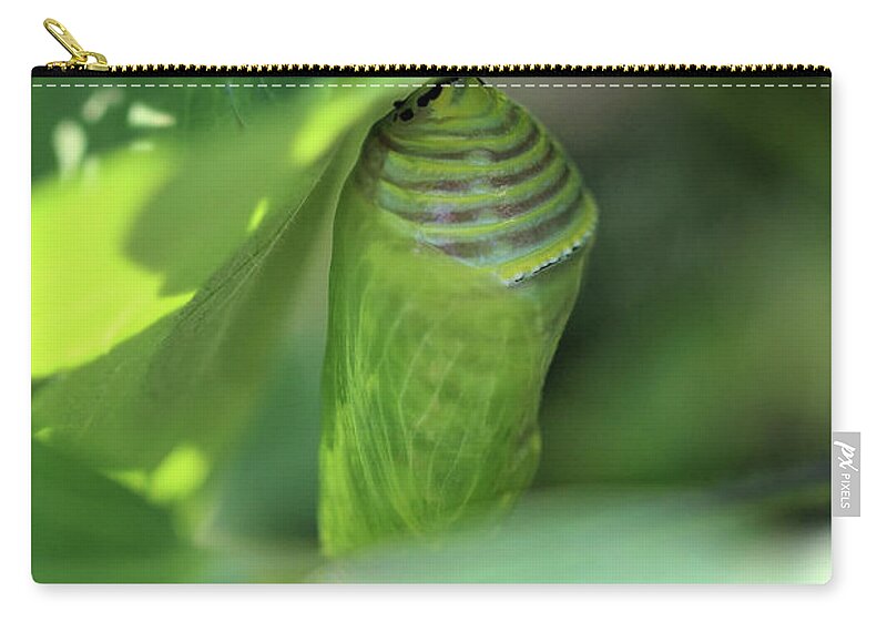 Monarch Butterfly Zip Pouch featuring the photograph Patience of Hope by Karen Adams