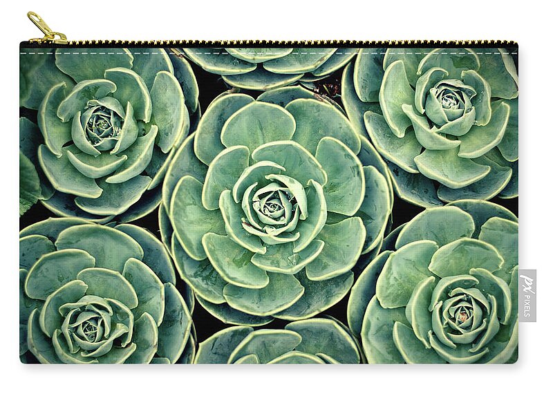 In A Row Carry-all Pouch featuring the photograph Pattern From Nature by Bbq