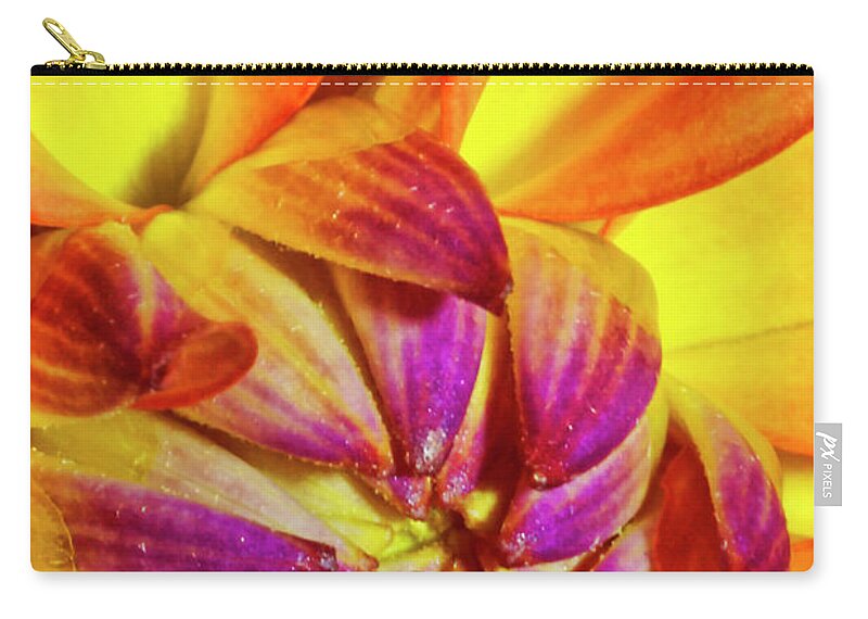 Macro Photography Zip Pouch featuring the photograph Peach Purple Flower by Meta Gatschenberger