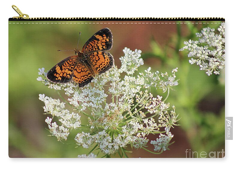 Pearl Crescent Butterfly Zip Pouch featuring the photograph Pearl on Lace by Karen Adams