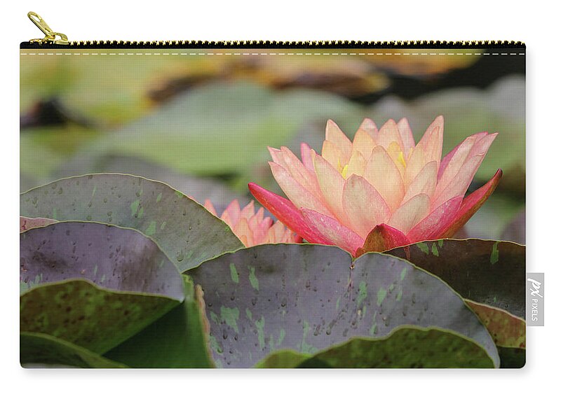Lily Pad Zip Pouch featuring the photograph Peek A Boo Pads by Mary Anne Delgado