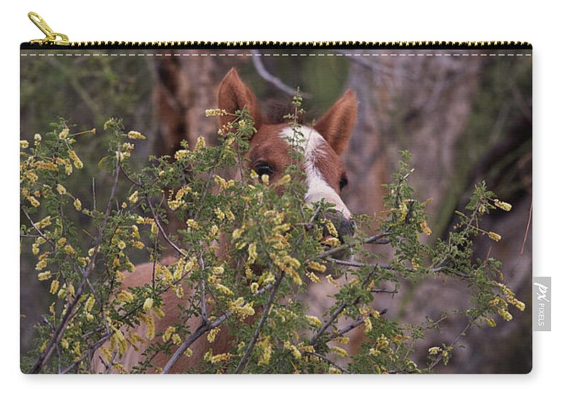 Foal Zip Pouch featuring the photograph Peek-A-Boo by Shannon Hastings