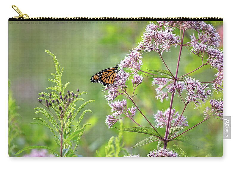 Nature Zip Pouch featuring the photograph Peering Into Nature by Dale Kincaid