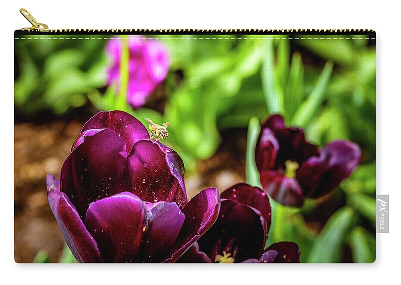 America Zip Pouch featuring the photograph Peering into the Deep by ProPeak Photography