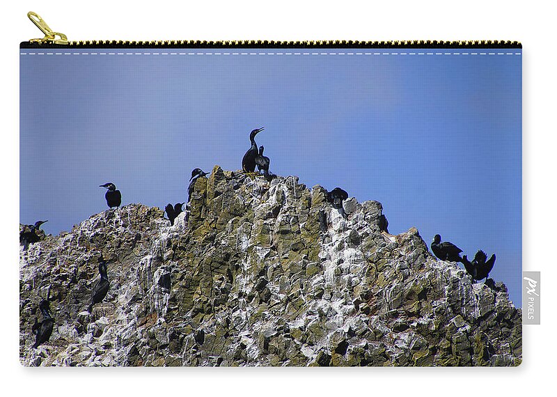 Coast Zip Pouch featuring the photograph Pelagic cormorant by Steve Estvanik