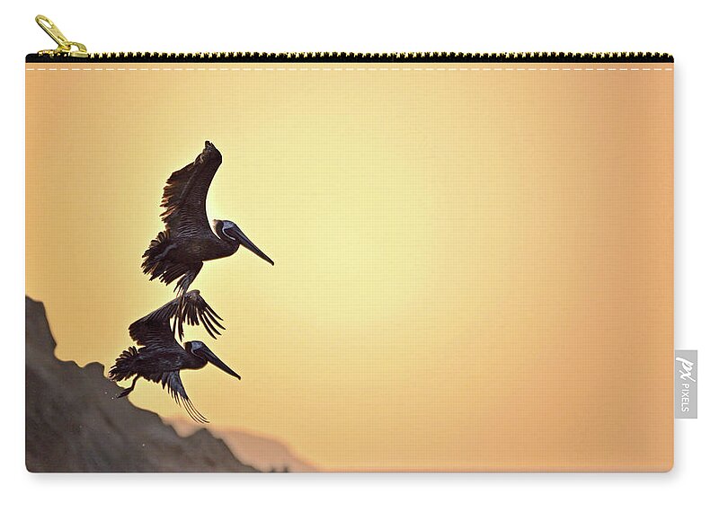 Pelicans Zip Pouch featuring the photograph Pelican Down by Climate Change VI - Sales