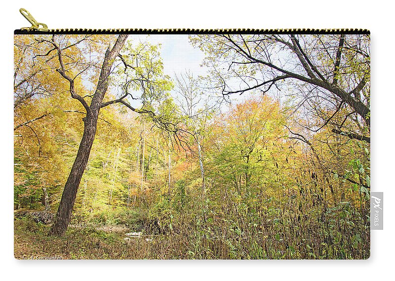 Philadelphia Zip Pouch featuring the photograph Pennypack Woods, Philadelphia Landmark, Autumn by A Macarthur Gurmankin
