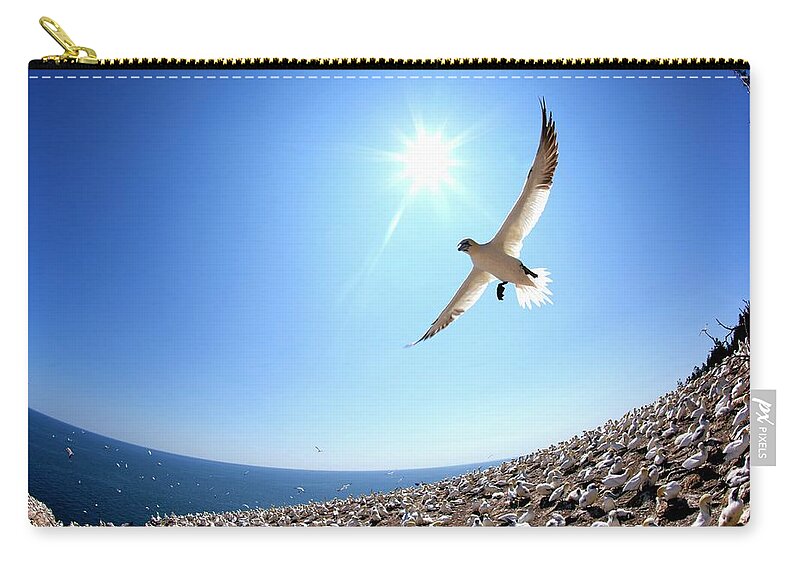 Majestic Zip Pouch featuring the photograph Perce, Quebec, Canada by Design Pics / Richard Wear