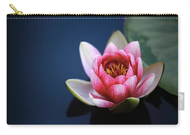 Photo Zip Pouch featuring the photograph Perfect lotus by Top Wallpapers