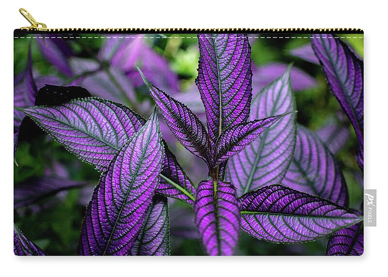 Persian Shield Zip Pouch featuring the photograph Persian Shield by Rose Guinther