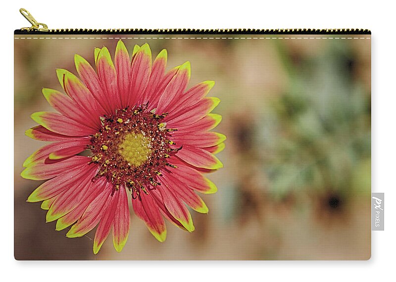  Zip Pouch featuring the photograph Petals by See It In Texas