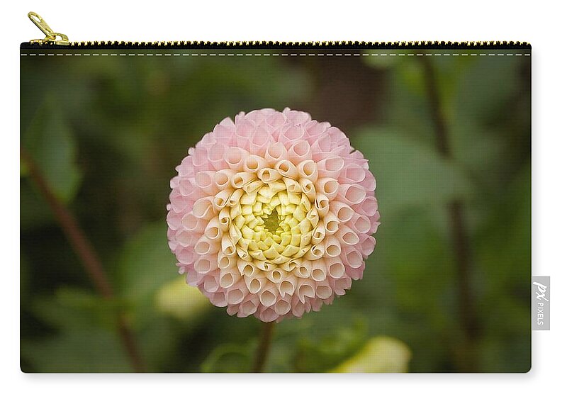 Dahlia Zip Pouch featuring the photograph Petite Pink by Brian Eberly