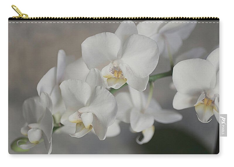 Orchid Zip Pouch featuring the photograph Phalaenopsis Orchid 4647 by Teresa Wilson