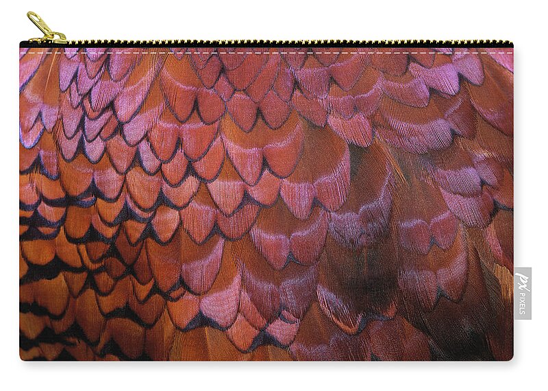 Animal Skin Zip Pouch featuring the photograph Pheasant Feathers by Siede Preis