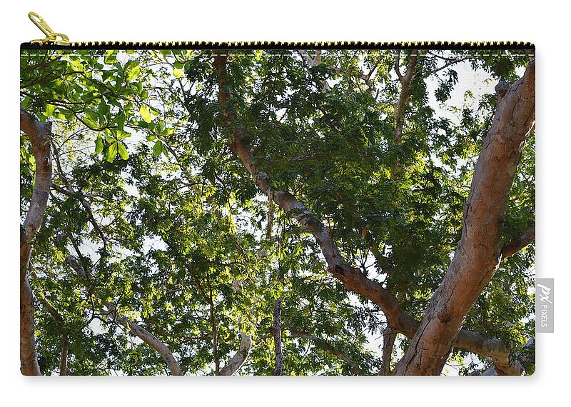 Tree Zip Pouch featuring the photograph Photo 66 Tropical Trees by Lucie Dumas