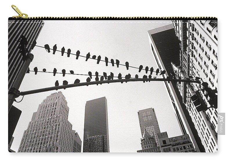 In A Row Carry-all Pouch featuring the photograph Pigeons Sitting On Wires by Henri Silberman
