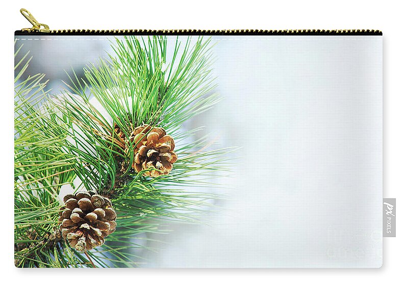 Pine Zip Pouch featuring the photograph Pine Cone On Fir Tree Brunch Under Snow by Jelena Jovanovic