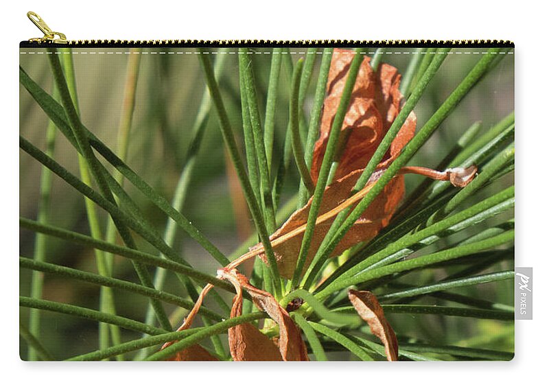 Green Zip Pouch featuring the photograph Pine Needles 1 by Christy Garavetto