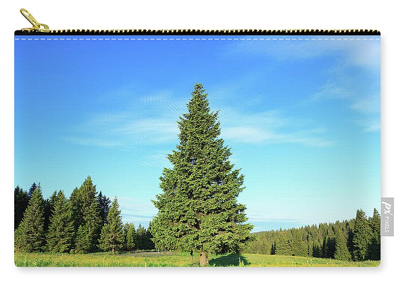 Scenics Zip Pouch featuring the photograph Pine Tree In Spring by Borchee