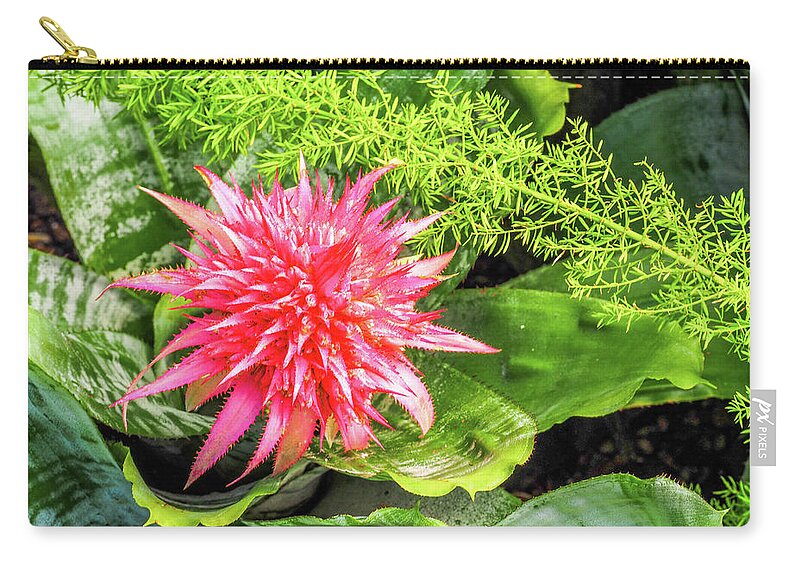 Pink Zip Pouch featuring the photograph Pink and Green Flowers by James C Richardson