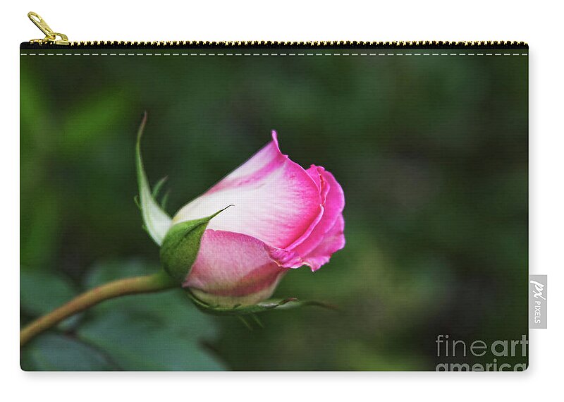 Flower Zip Pouch featuring the photograph Pink and White by Joan Bertucci