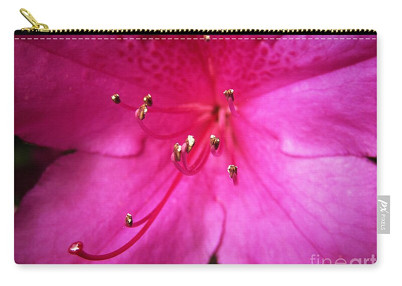 Spring Zip Pouch featuring the photograph Pink Attraction by Robert Knight