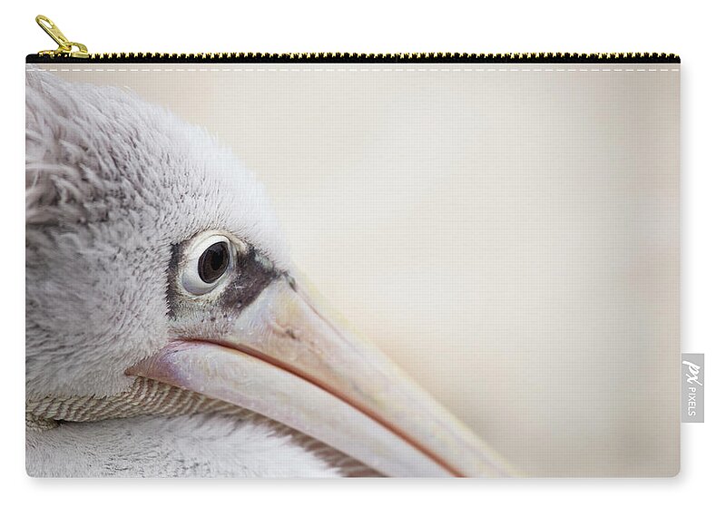 Pink Backed Pelican Zip Pouch featuring the photograph Pink Backed Pelican by Karol Livote