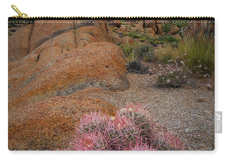 Sunrise Zip Pouch featuring the photograph Pink Barrel Cacti by Michael Ver Sprill