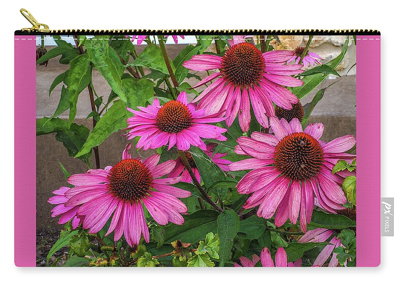 Pink Zip Pouch featuring the photograph Pink Cone Flowers by James C Richardson