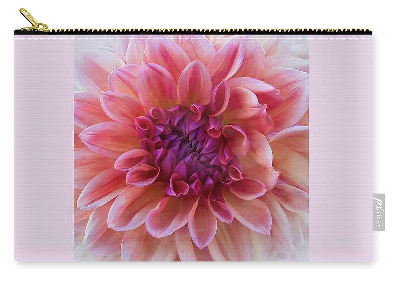 Dahlia Zip Pouch featuring the photograph Pink Dahlia Oil by Catherine Avilez