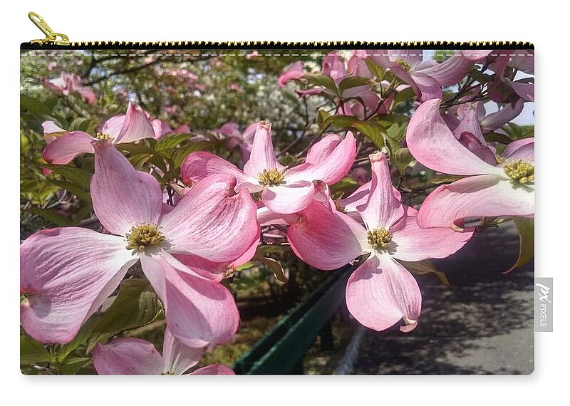 Bloom Carry-all Pouch featuring the photograph Pink Dogwood Blooms by Christopher Lotito