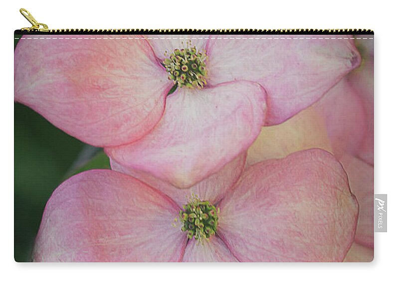 Pink Zip Pouch featuring the photograph Pink Dogwood Blossoms by TL Wilson Photography by Teresa Wilson