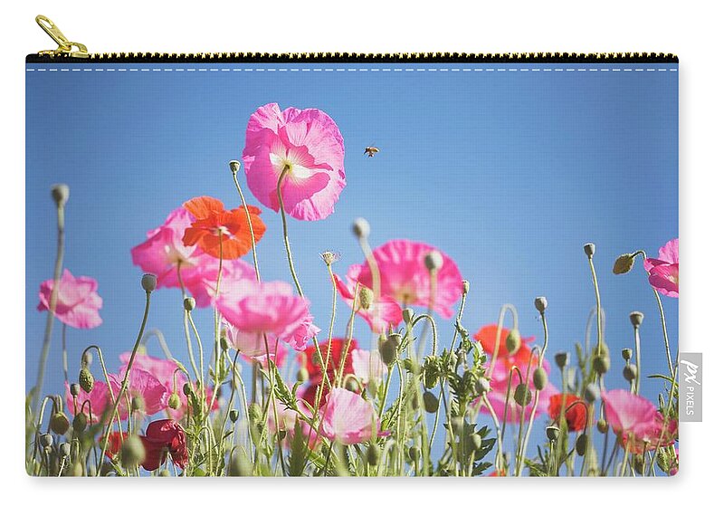Snow Zip Pouch featuring the photograph Pink Flowers Against Blue Sky by Design Pics/craig Tuttle