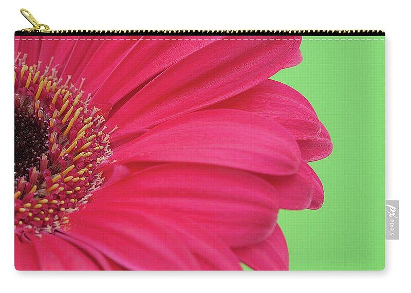 Petal Carry-all Pouch featuring the photograph Pink Gerbera by Kim Haddon Photography