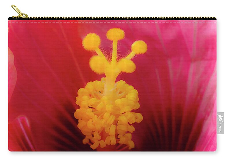 Hibiscus Zip Pouch featuring the photograph Pink Hibiscus by Christopher Johnson