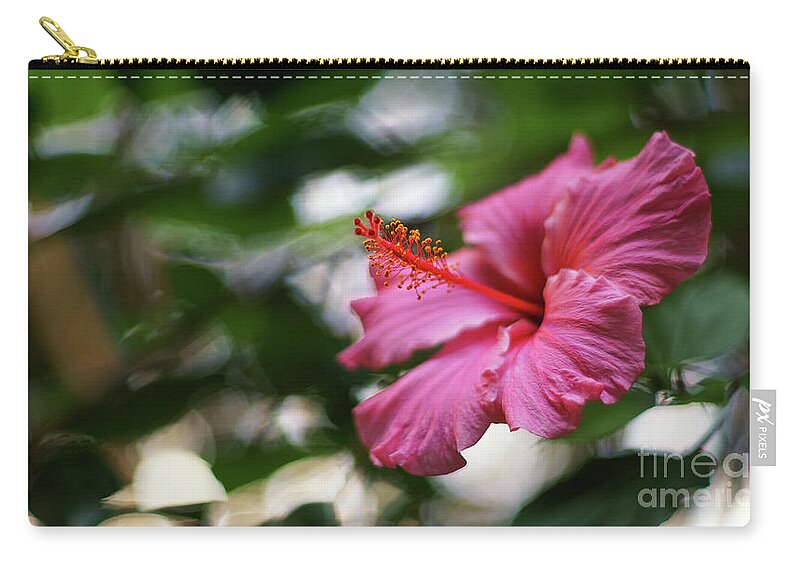 Beautiful Zip Pouch featuring the photograph Pink Hibiscus Flower by Pablo Avanzini