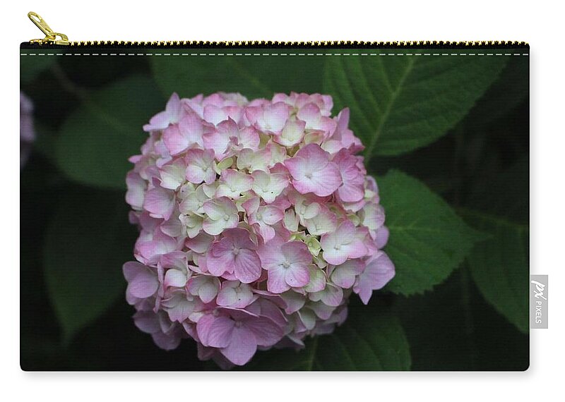 Pink Carry-all Pouch featuring the photograph Pink Hydrangea by Christopher Lotito