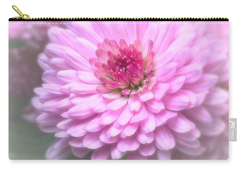 Flowers Zip Pouch featuring the photograph Pink Mums in Bloom by Lisa Pearlman
