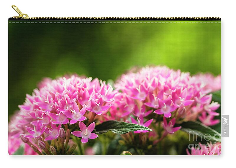 Background Zip Pouch featuring the photograph Pink Pentas Flowers by Raul Rodriguez
