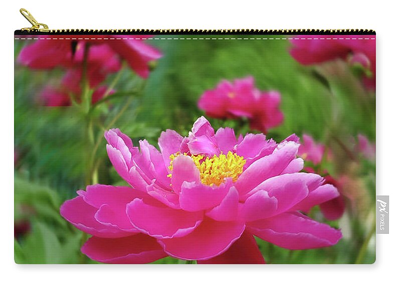 Art Zip Pouch featuring the photograph Pink Peonies I by Joan Han