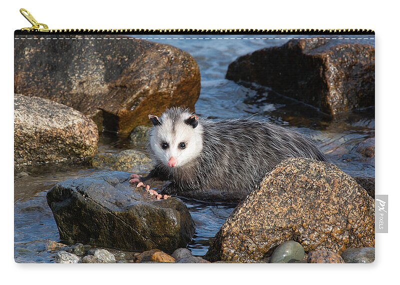 Opossum Zip Pouch featuring the photograph Pink Toes by Linda Bonaccorsi