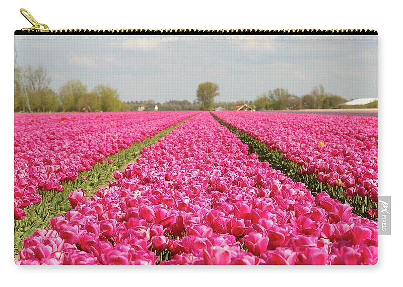 Netherlands Zip Pouch featuring the photograph Pink Tulips by By Johan Krijgsman, The Netherlands