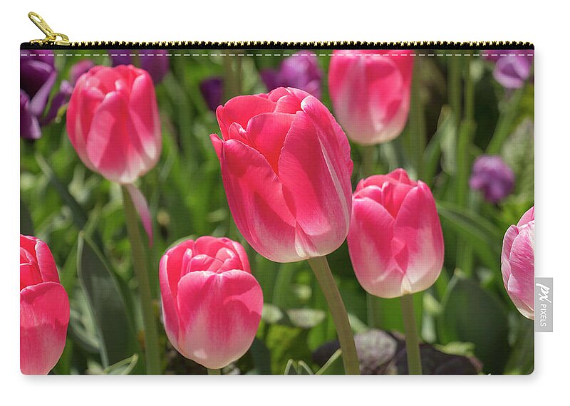 Flower Zip Pouch featuring the photograph Pink Tulips by Dawn Cavalieri