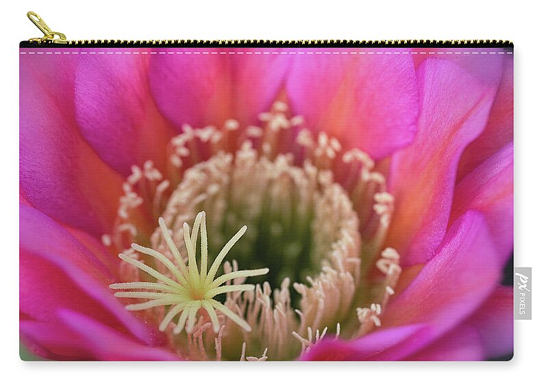 Pink Cactus Flower Zip Pouch featuring the photograph Pink Up Close And Close Personal by Saija Lehtonen